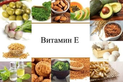 Продукты, богатые витамином E